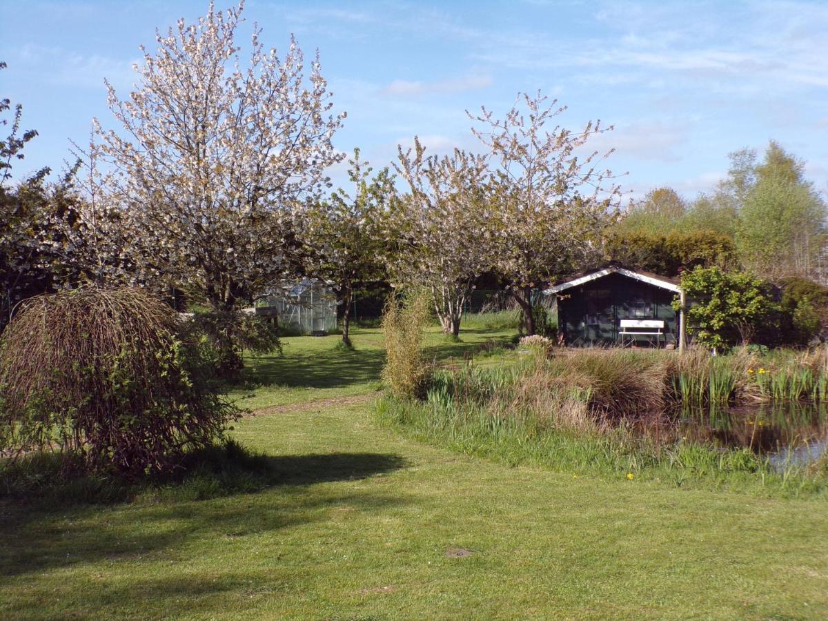 Ferienwohnung Aurich Sandhorst Eg Mit Terrasse Und Kleinem Garten ภายนอก รูปภาพ