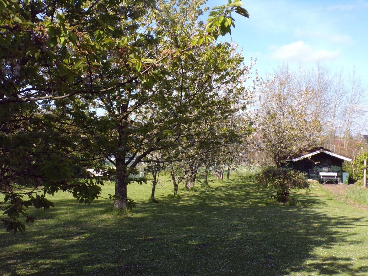Ferienwohnung Aurich Sandhorst Eg Mit Terrasse Und Kleinem Garten ภายนอก รูปภาพ